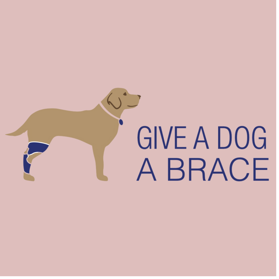 Give a Dog Brace